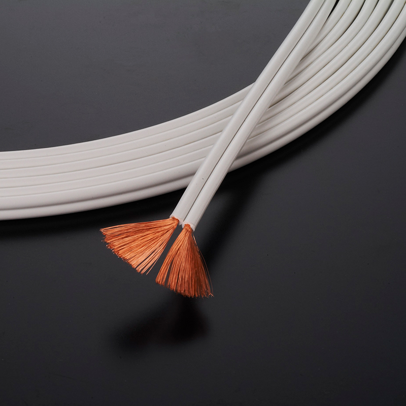 aet EVO-F200+スピーカーケーブル引き直し工賃