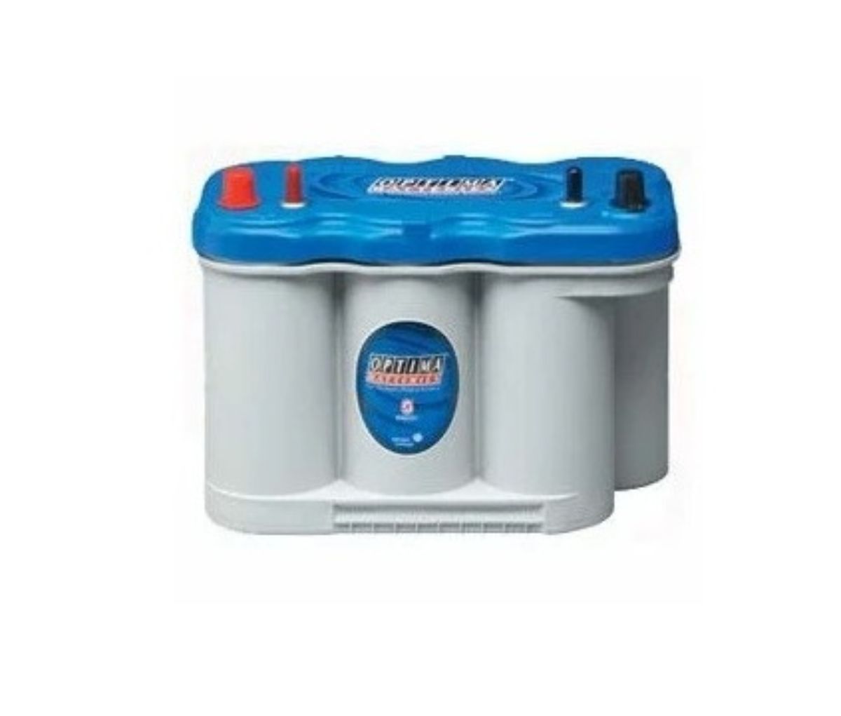 ブルートップ Ⅾ1200Ⅿ