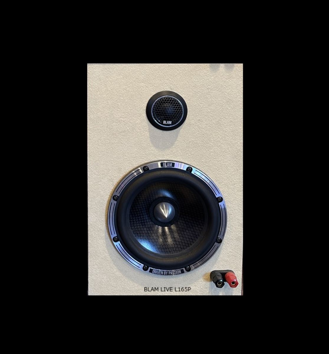 {"ja":"LIVE L165P","en":"LIVE L165P","zh":"现场 L165P"}