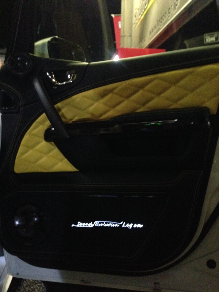 アウターバッフルレザー＆アルカンターラ 完全オーダー　ドア一体成型