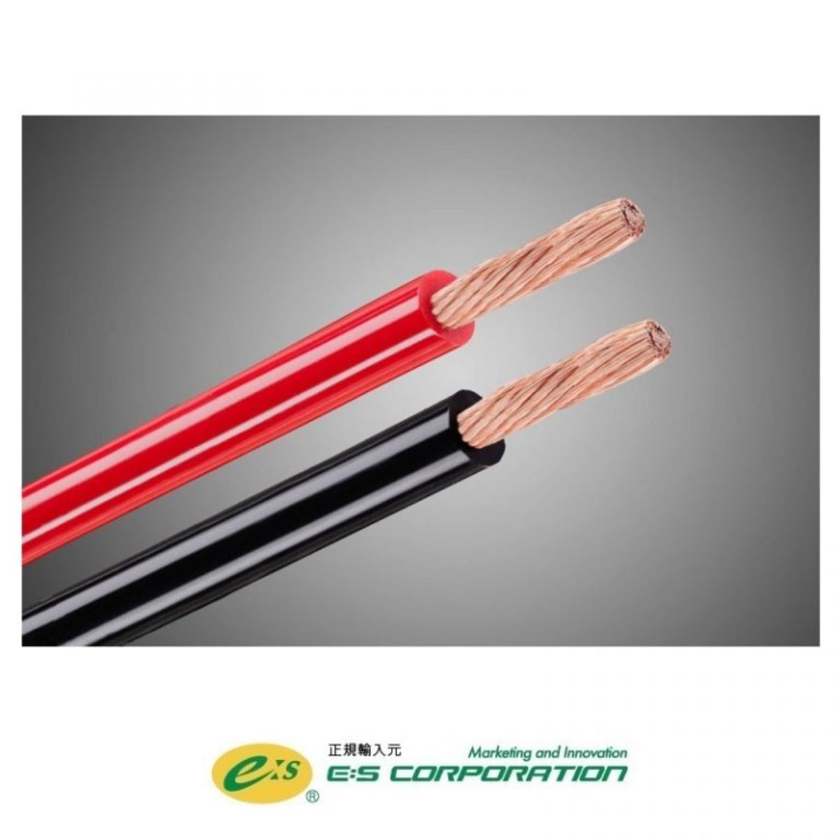 STANDARD DC POWER 4AWG(1 m~)