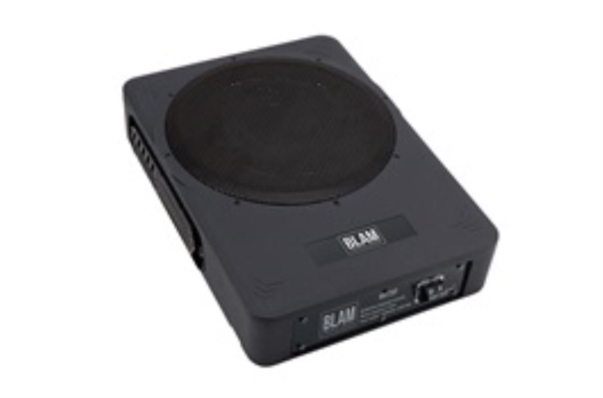 サブウーファー BLAⅯ MSP25P